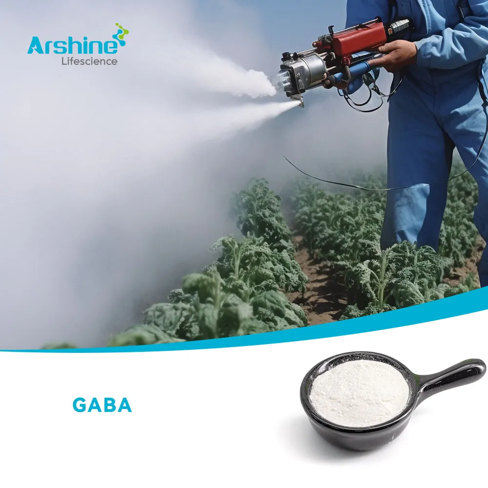 Ácido 4-aminobutírico