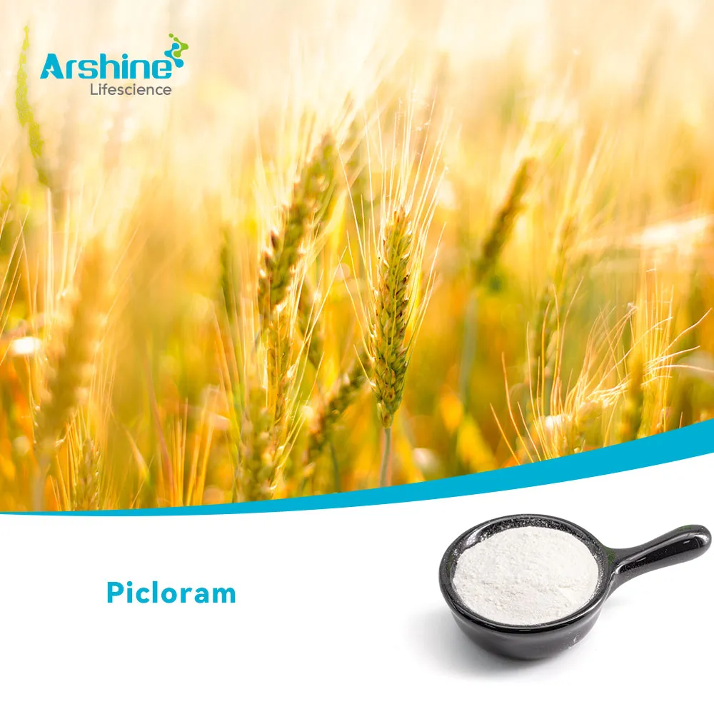 Picloram