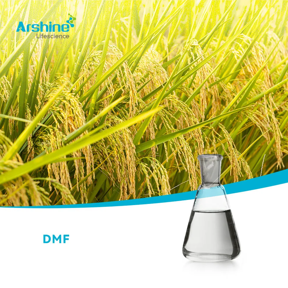 N, n-dimetilformamida