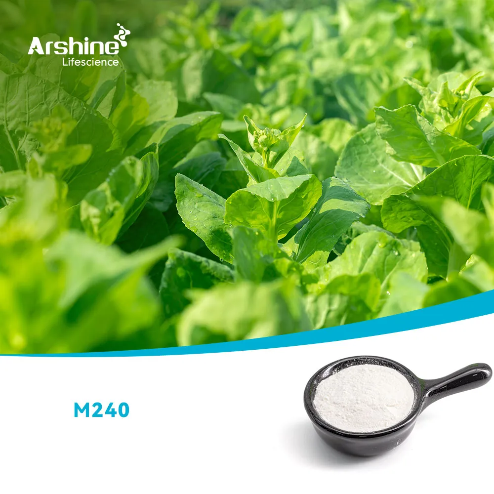 Metilo (e) -3-metoxi-2- (2-clorometilfenilo) -2-propenoato； Metil-2- (2-cloromety | fenil) -3-metoxiacrilato 