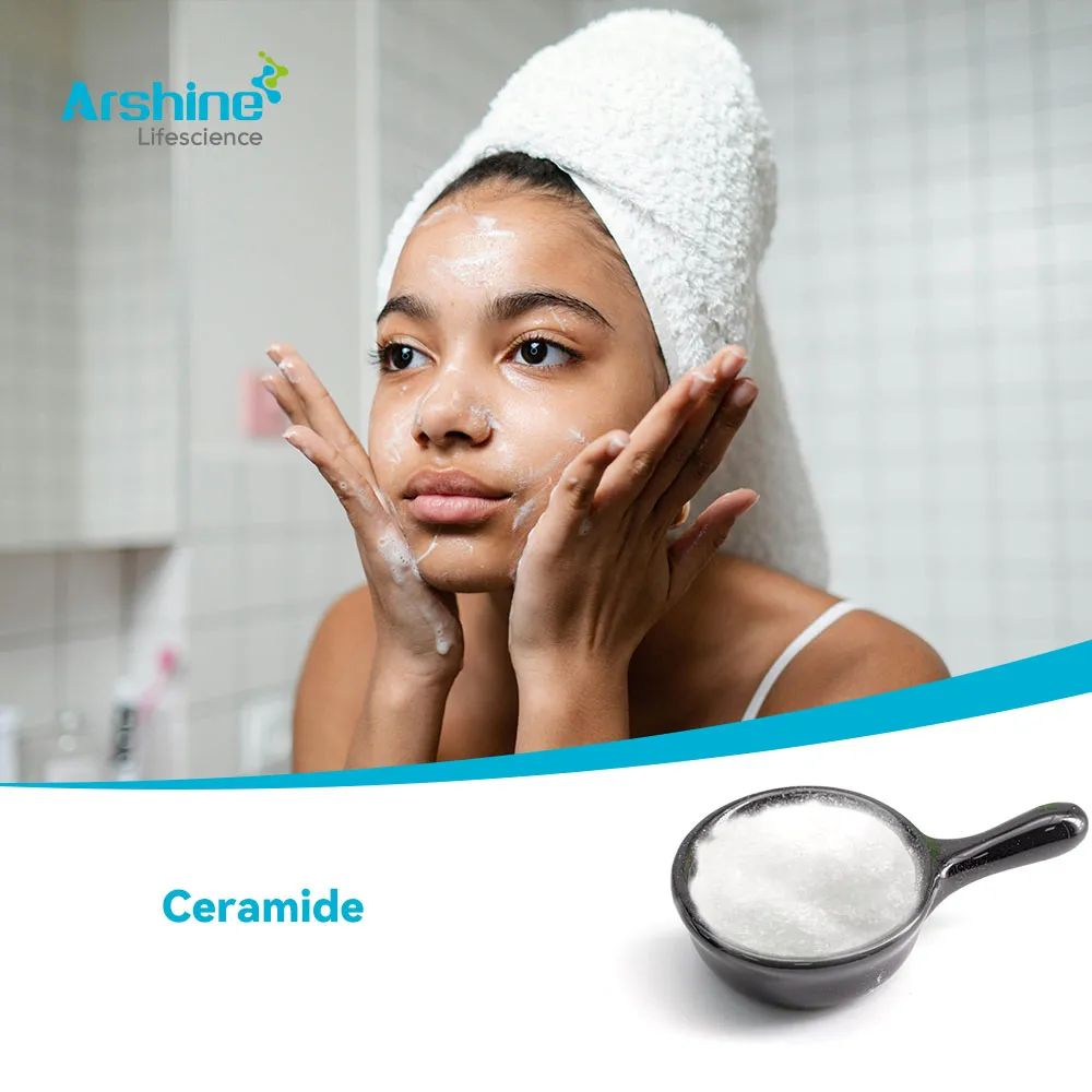 ceramida