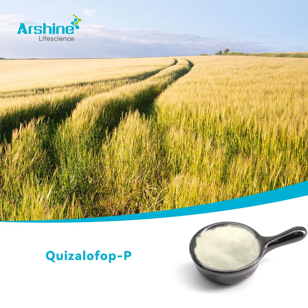 Quizalofop-P