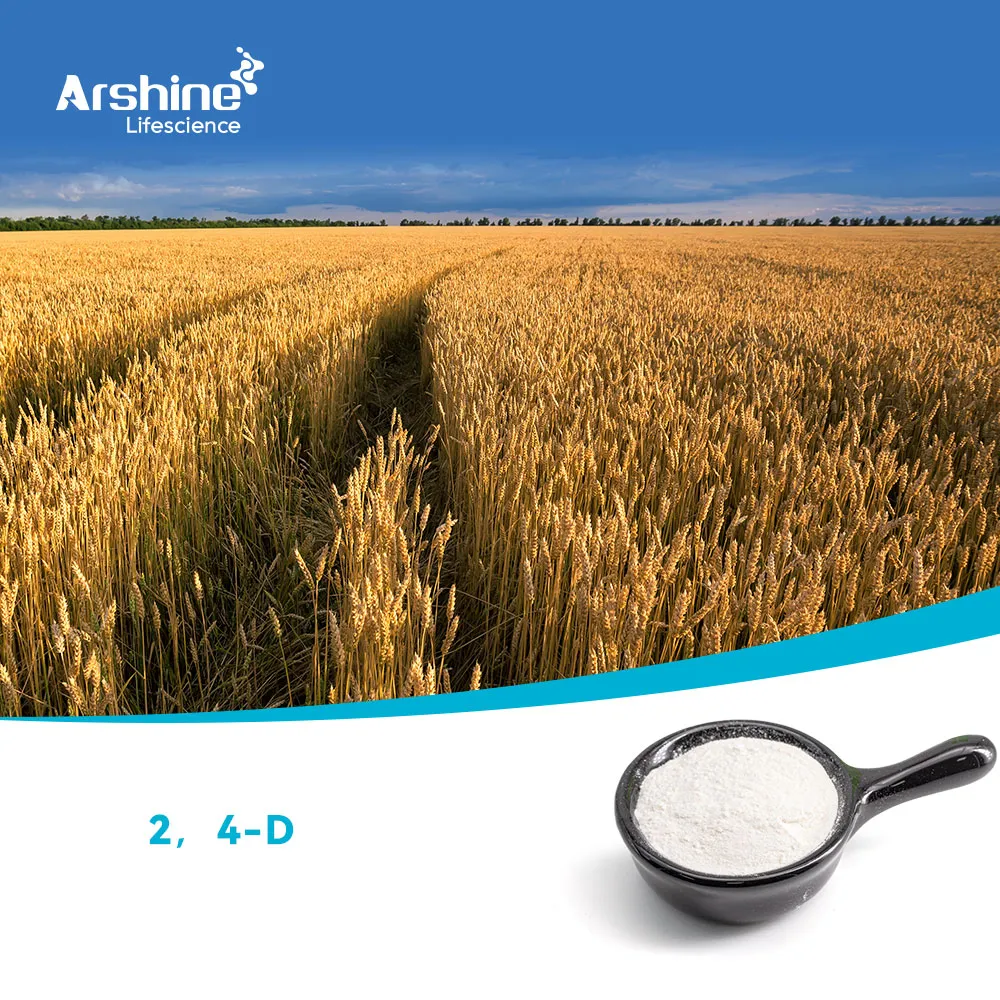 Ácido 2,4-diclorofenoxiacético