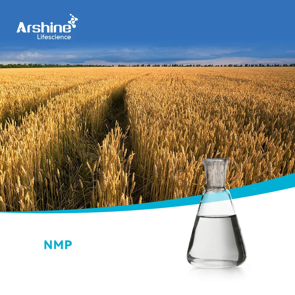 N-METHYL-2-PYRROLIDONE(NMP)