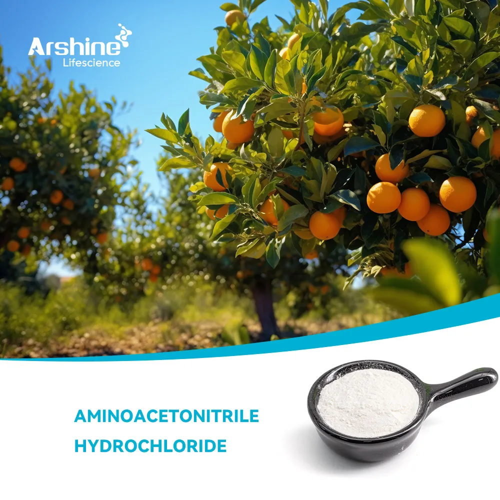 Clorhidrato de aminoacetonitrilo