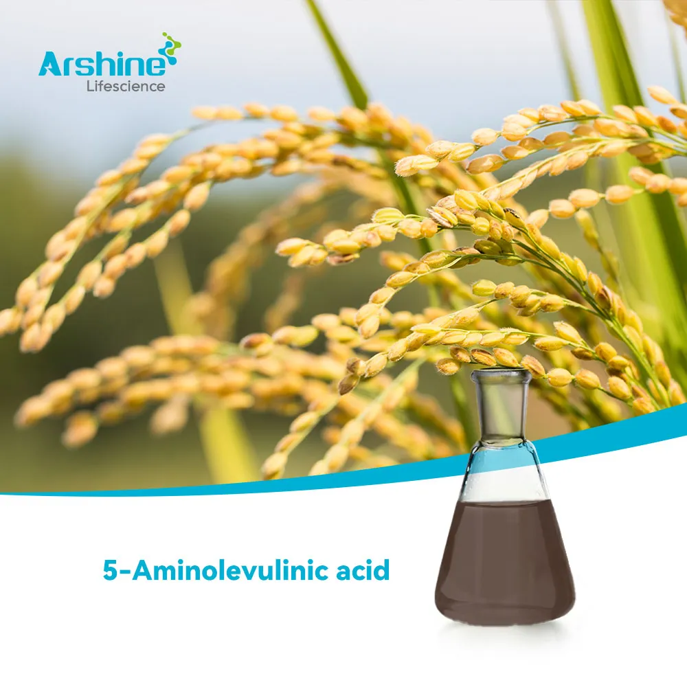 Ácido 5-aminolevulínico